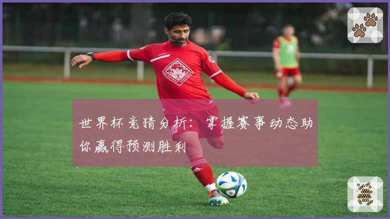 世界杯竞猜分析：掌握赛事动态助你赢得预测胜利