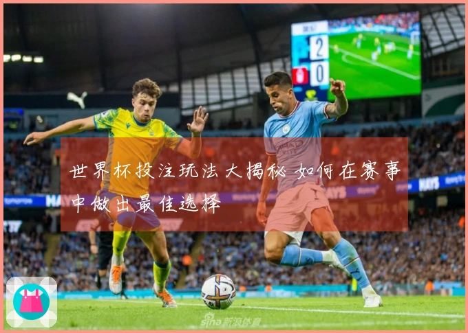 世界杯投注玩法大揭秘 如何在赛事中做出最佳选择