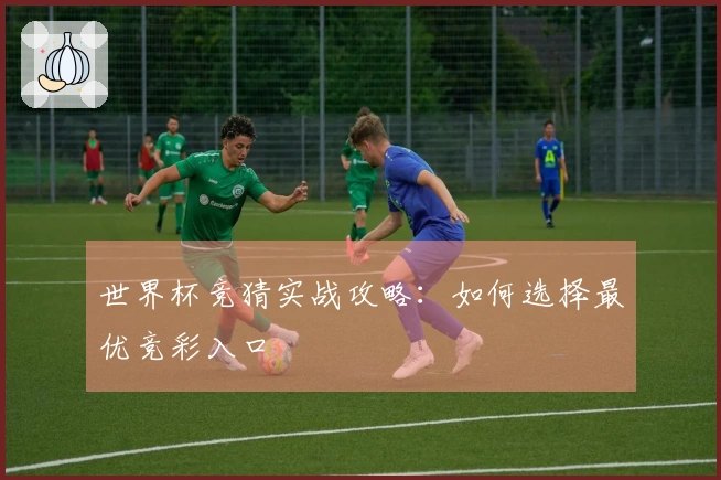 世界杯竞猜实战攻略：如何选择最优竞彩入口