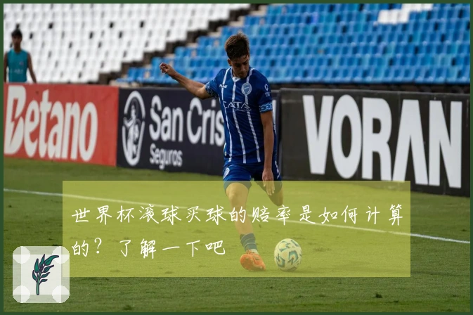 世界杯滚球买球的赔率是如何计算的？了解一下吧