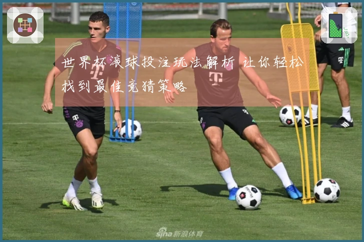 世界杯滚球投注玩法解析 让你轻松找到最佳竞猜策略